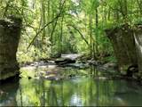 0 Bud Black Road - Photo 9