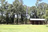 259 Profite Williams Road - Photo 4