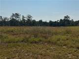Lot 17 Long Leaf Lane - Photo 1