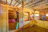 15315 County Road 56 - Photo 36