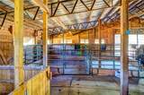 15315 County Road 56 - Photo 38