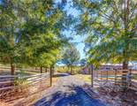 15315 County Road 56 - Photo 4
