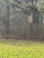 2232 County Road 45 - Photo 9