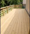 407 Watkins Avenue - Photo 8