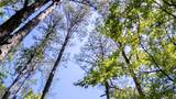 3760 County Road 52 - Photo 44
