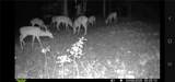 3760 County Road 52 - Photo 46