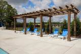 208 Plumage Street - Photo 21