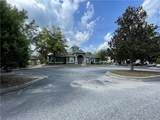 447 Longleaf Drive - Photo 12