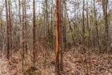 0 County Road 55 - Photo 21