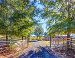 15315 County Road 56 - Photo 4