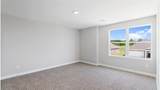 247 Driver Lane - Photo 28