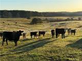 1160 Al Highway 77 - Photo 11