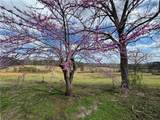 1160 Al Highway 77 - Photo 14