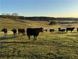 1160 Al Highway 77 - Photo 19