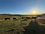 1160 Al Highway 77 - Photo 21
