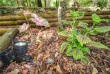 2668 Wire Road - Photo 6