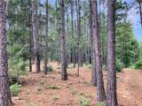 6723 Lee Road 401 - Photo 34