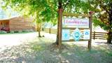 1362 Friendship Drive - Photo 26