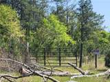 601 Herbert Brown Road - Photo 34