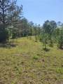 601 Herbert Brown Road - Photo 37