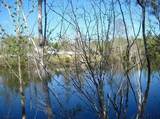 601 Herbert Brown Road - Photo 4