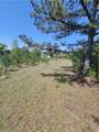 601 Herbert Brown Road - Photo 41