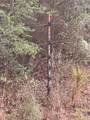 6565 Al Highway 199 - Photo 20