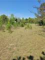 601 Herbert Brown Road - Photo 43
