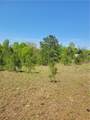 601 Herbert Brown Road - Photo 44