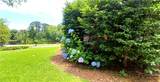 2104 Oak Bowery Road - Photo 40