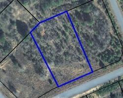0 Lee Road 2167 - Photo 1