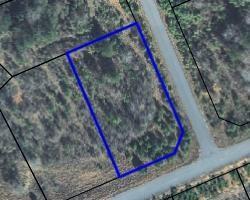0 Lee Road 2167 - Photo 1