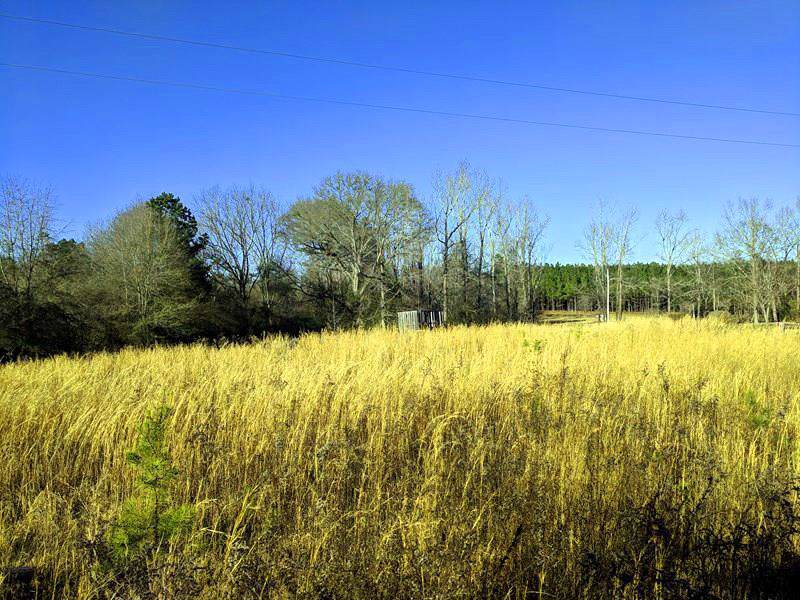 9316 Lee Road 146 - Photo 1