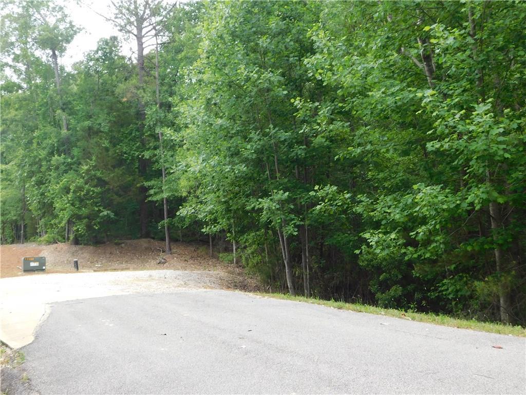 0 Lee Road 2159 - Photo 1