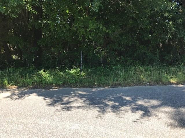 0 Lee Road 817 - Photo 1