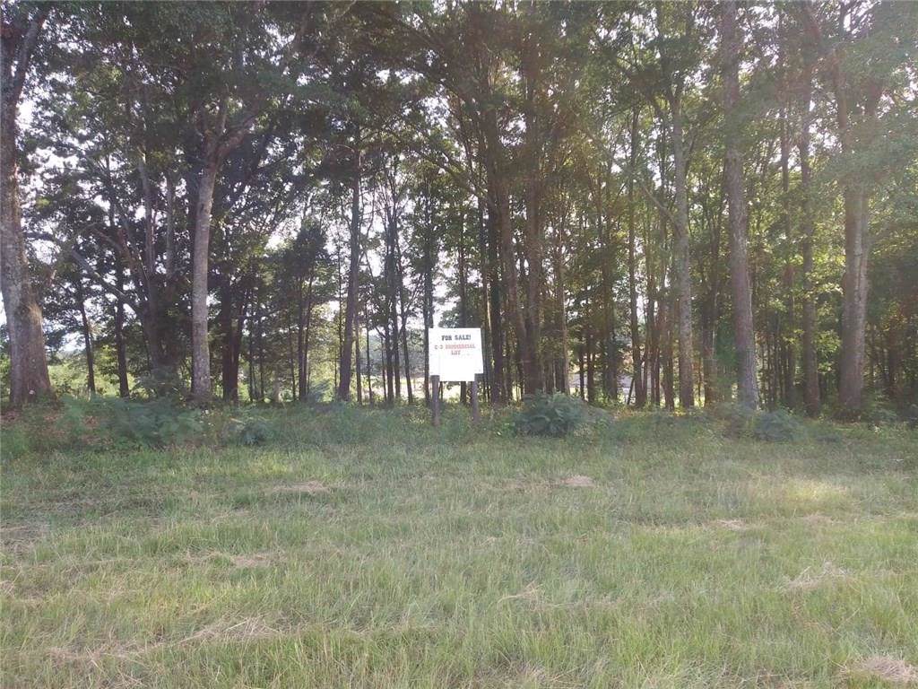 TBD Us Highway 280 - Photo 1