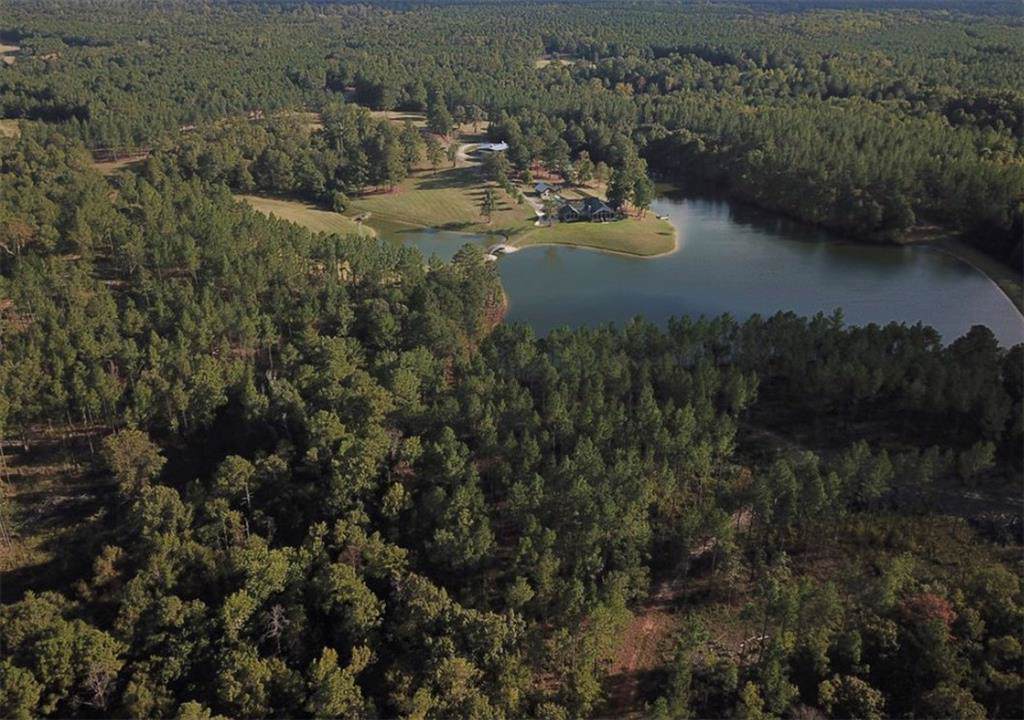 15333 Highway 82 - Photo 1