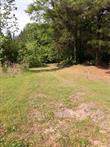 0 Oak Bowery Road - Photo 1