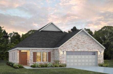 185 Blasted Rock Road - Photo 1