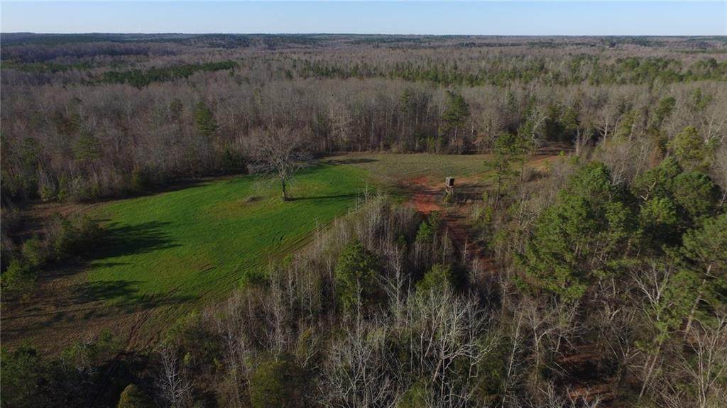 1431 County Road 12 - Photo 1