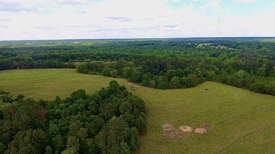 1491 County Road 60 - Photo 1