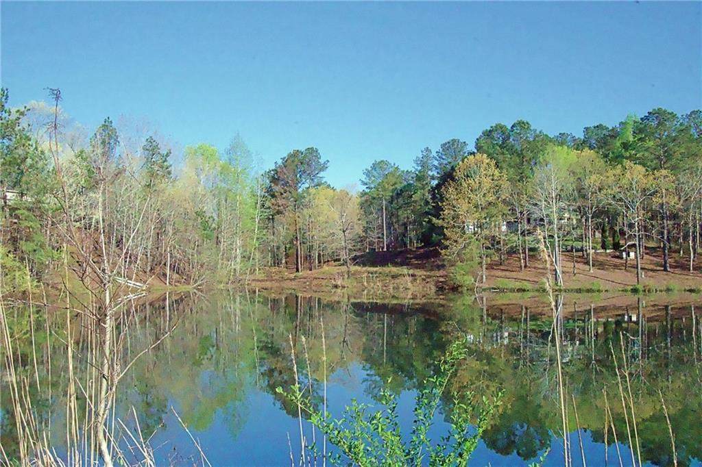 347 Murphy Dam Road - Photo 1