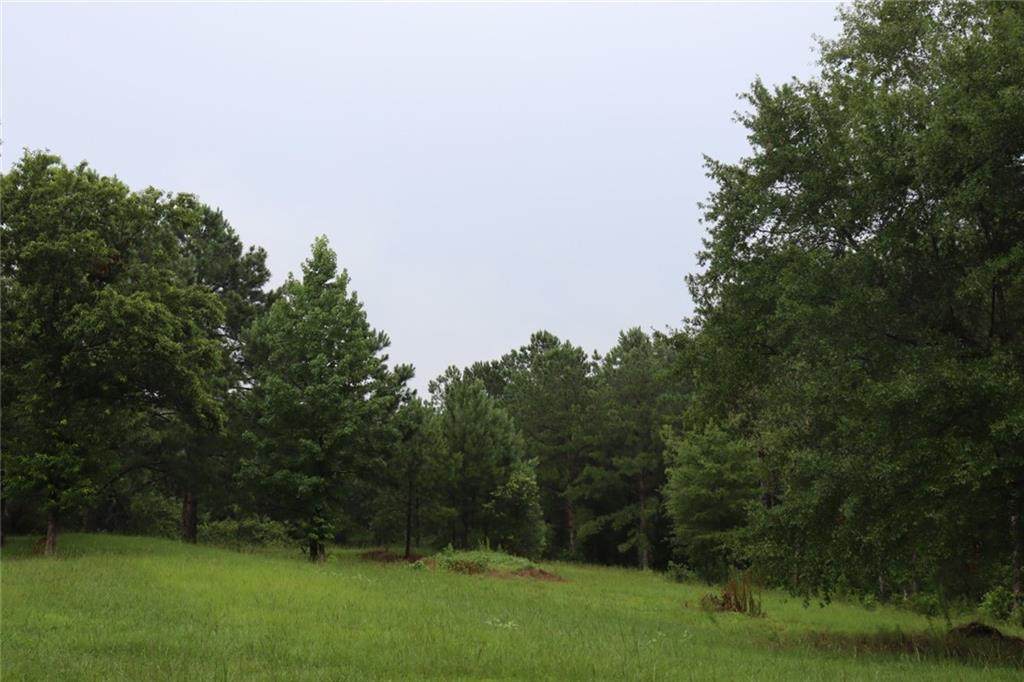201 Songbird Lane - Photo 1