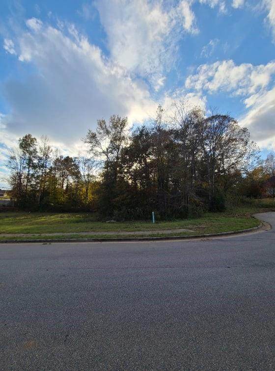 2373 Annandale Lane - Photo 1