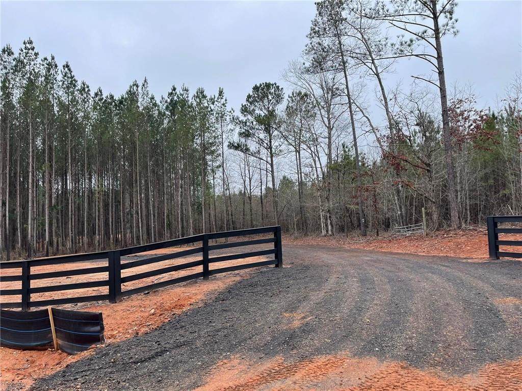 3533 Lee Road 254 - Photo 1