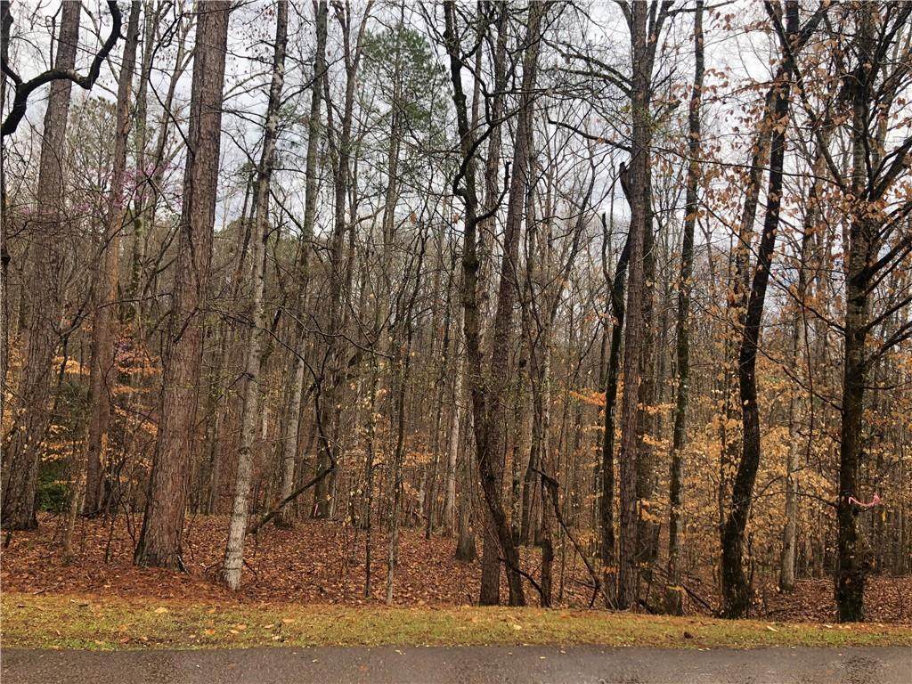 0 Palmer Drive - Photo 1