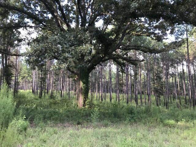 1 County Road 10 - Photo 1