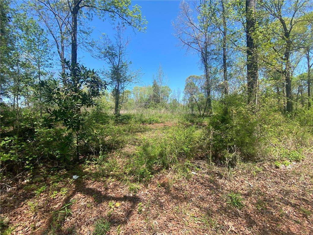 1234 Al Highway 49 - Photo 1