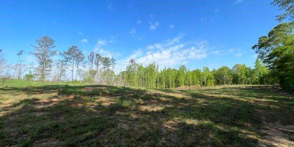0 County Road 62 - Photo 1