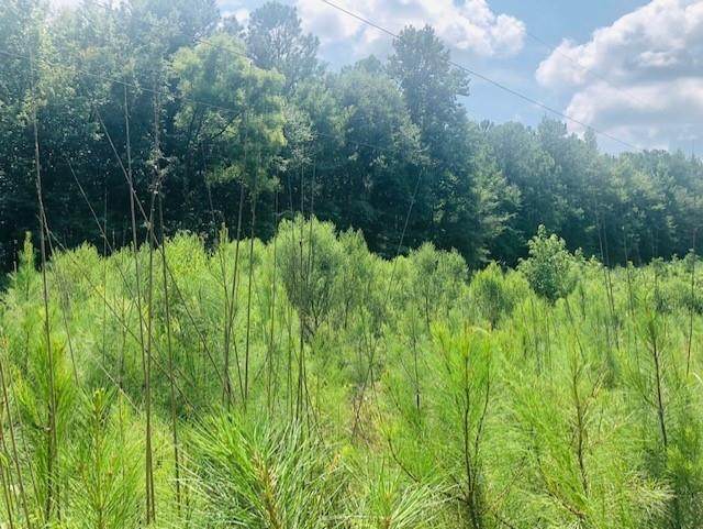 17714 Highway 29 - Photo 1